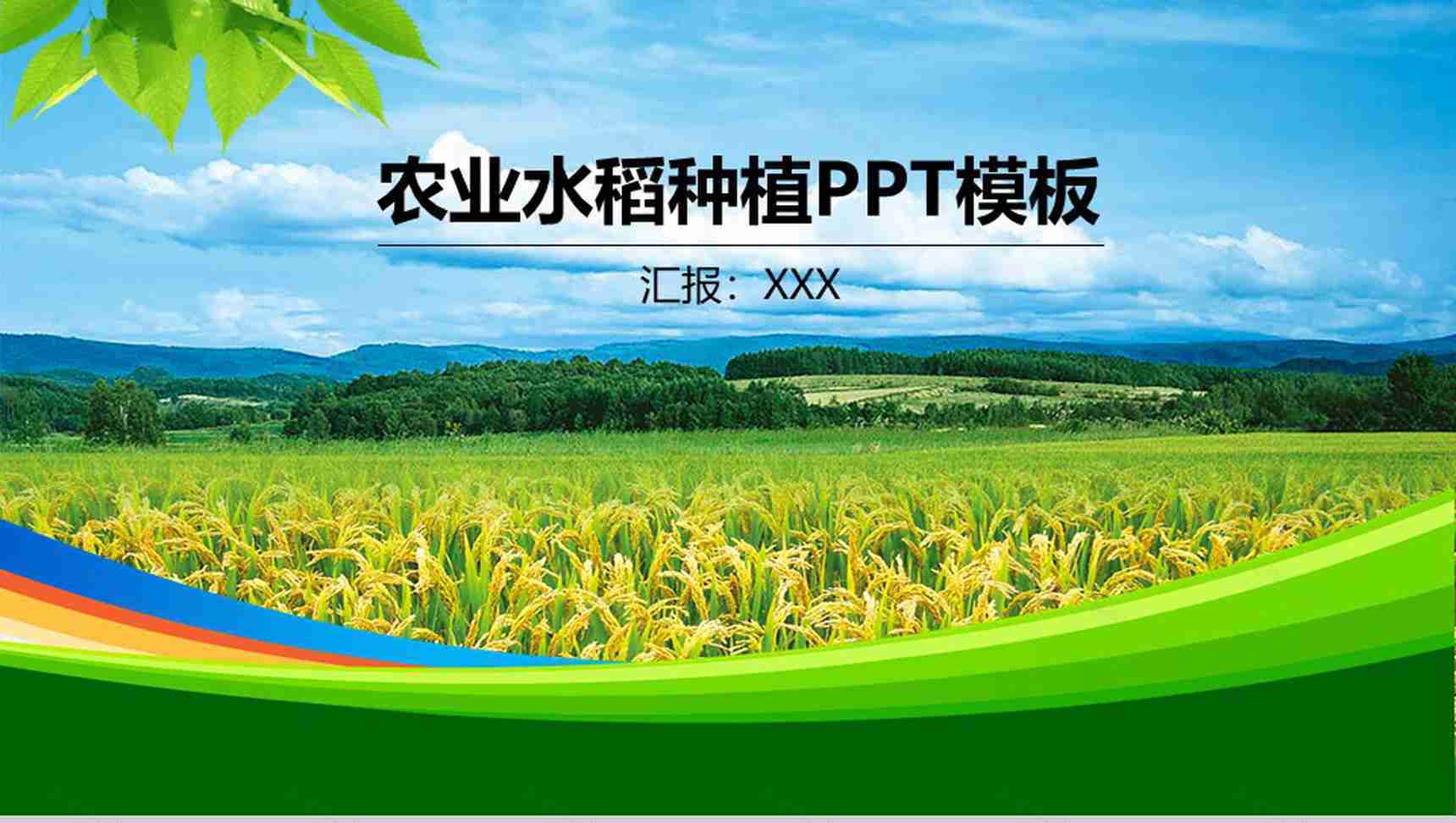 简约商务风农业水稻种植PPT模板-1