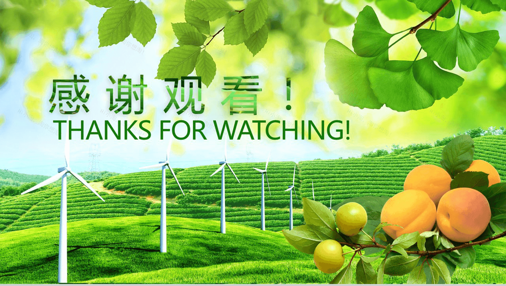 简约绿色清新有机农业环保健康生态旅游PPT模板-19