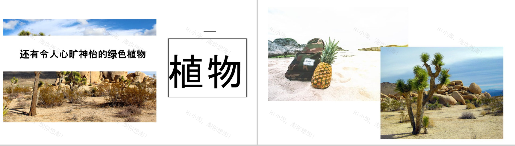 敬畏自然沙漠之旅活动总结汇报PPT模板-8