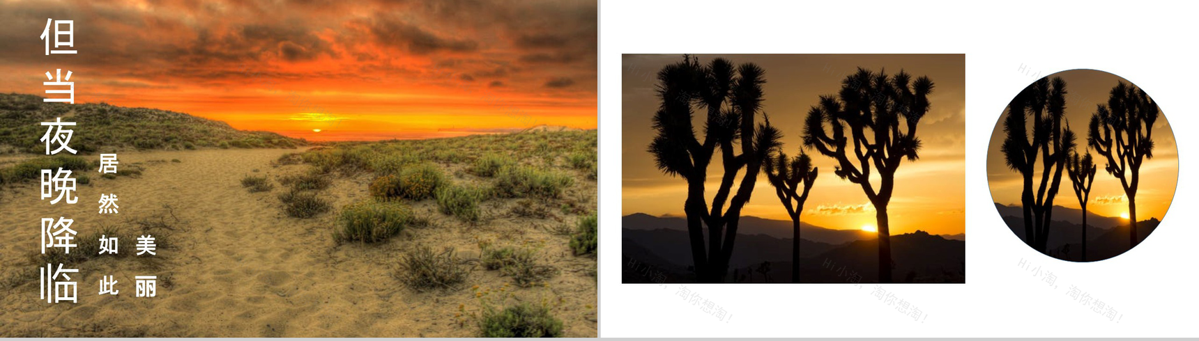 敬畏自然沙漠之旅活动总结汇报PPT模板-5