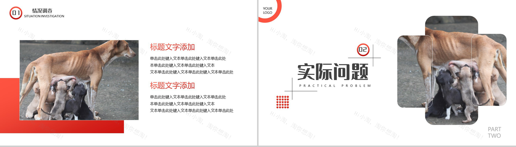 橙色爱心活动救助流浪动物公益活动策划方案步骤PPT模板-4