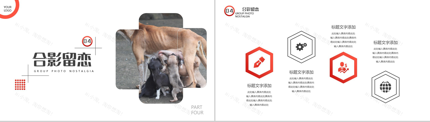 橙色爱心活动救助流浪动物公益活动策划方案步骤PPT模板-8