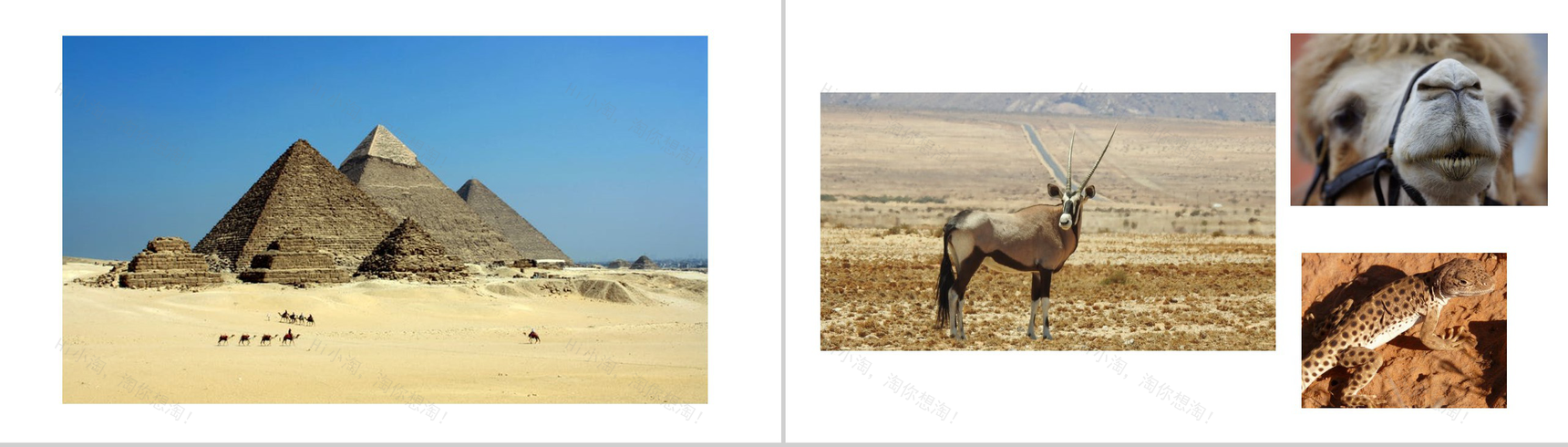 敬畏自然沙漠之旅活动总结汇报PPT模板-13