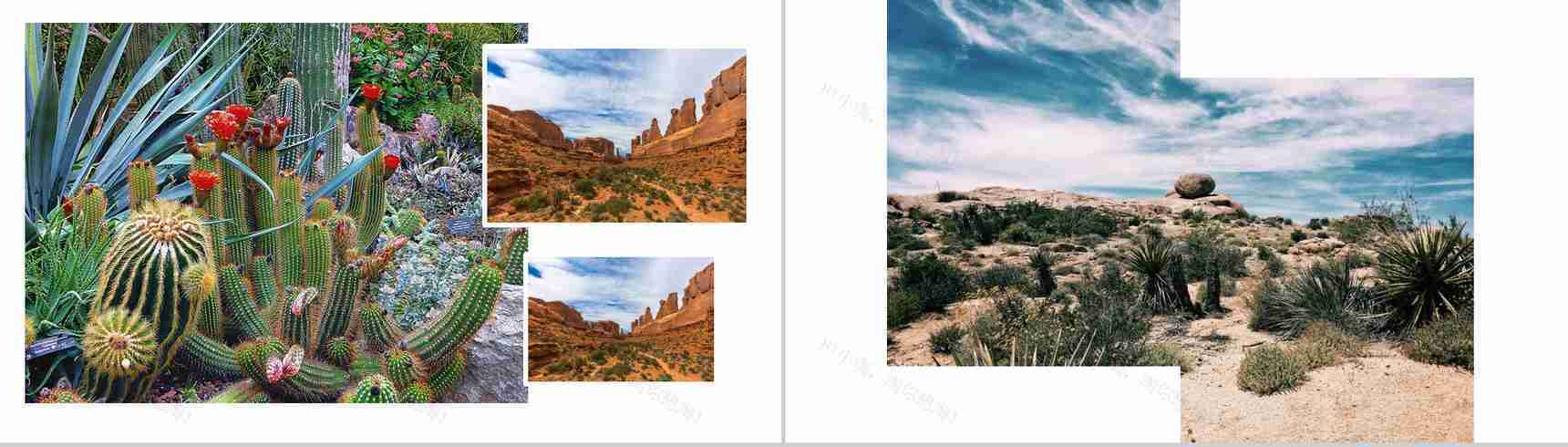 敬畏自然沙漠之旅活动总结汇报PPT模板-9