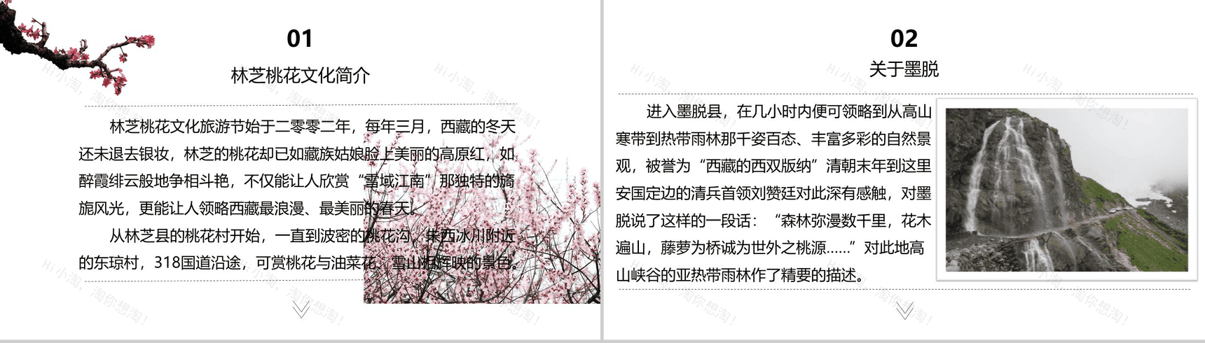 印象西藏圣洁天堂西藏旅游景点介绍PPT模板-5
