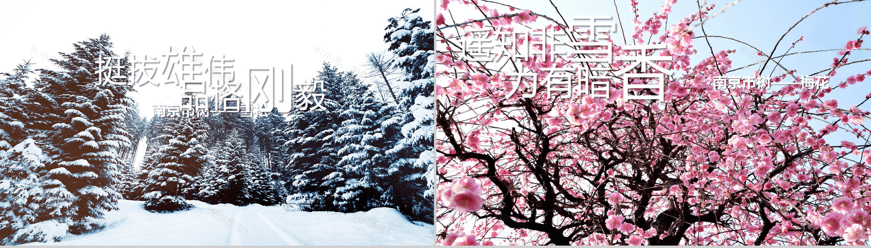 精品高端商务南京旅游文化介绍PPT模板-4