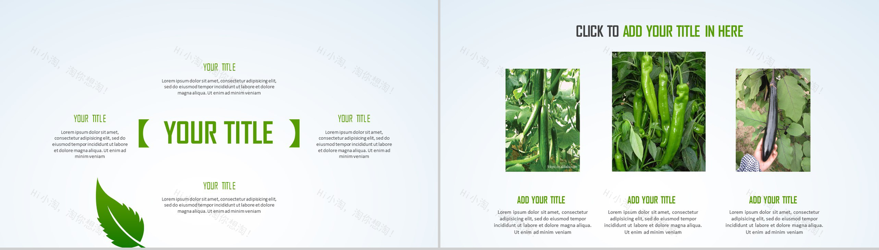 简约绿色清新有机农业环保健康生态旅游PPT模板-13