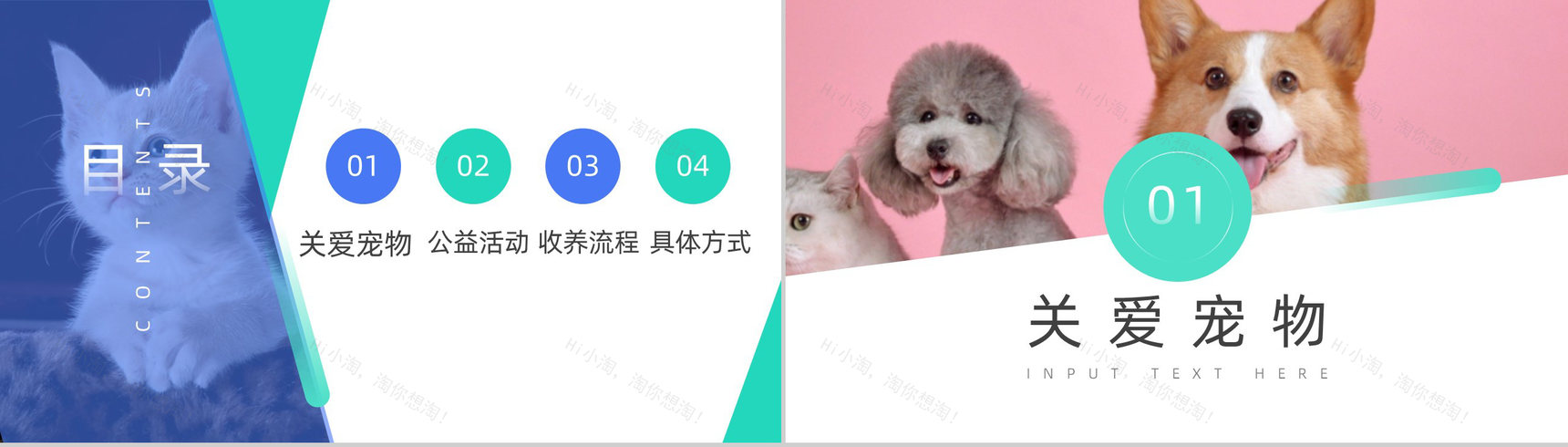 宠物收养公益活动策划方案步骤PPT模板-2