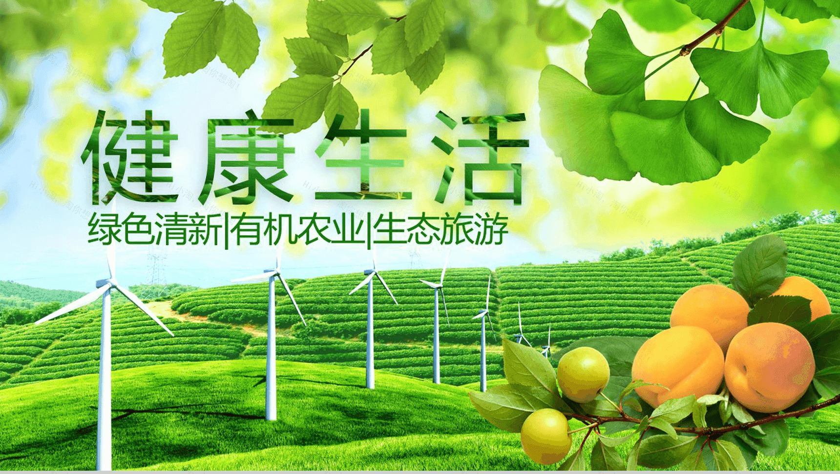 简约绿色清新有机农业环保健康生态旅游PPT模板-1