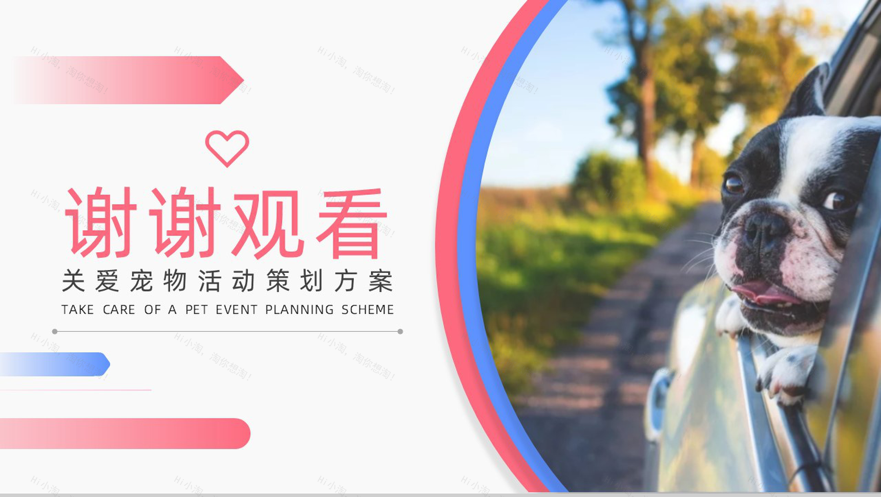 关爱宠物活动策划方案PPT模板-10