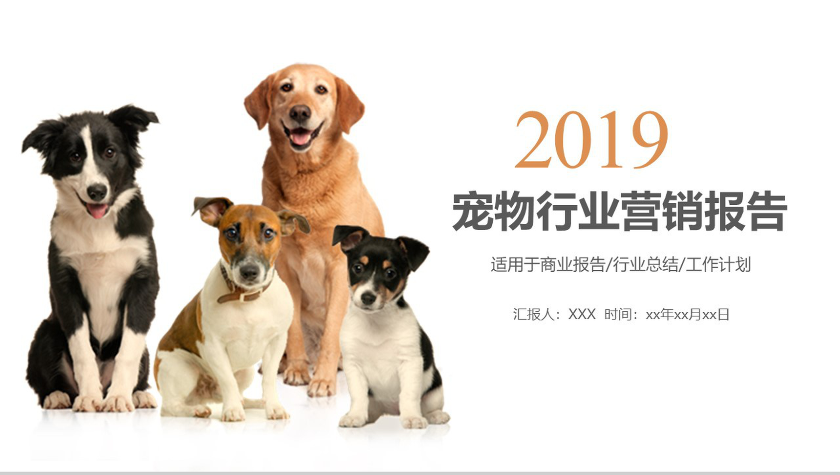 宠物行业营销报告工作计划PPT模板