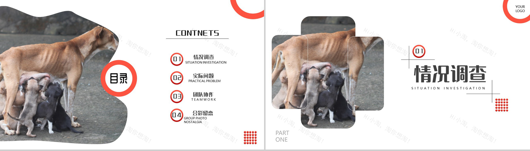 橙色爱心活动救助流浪动物公益活动策划方案步骤PPT模板-2