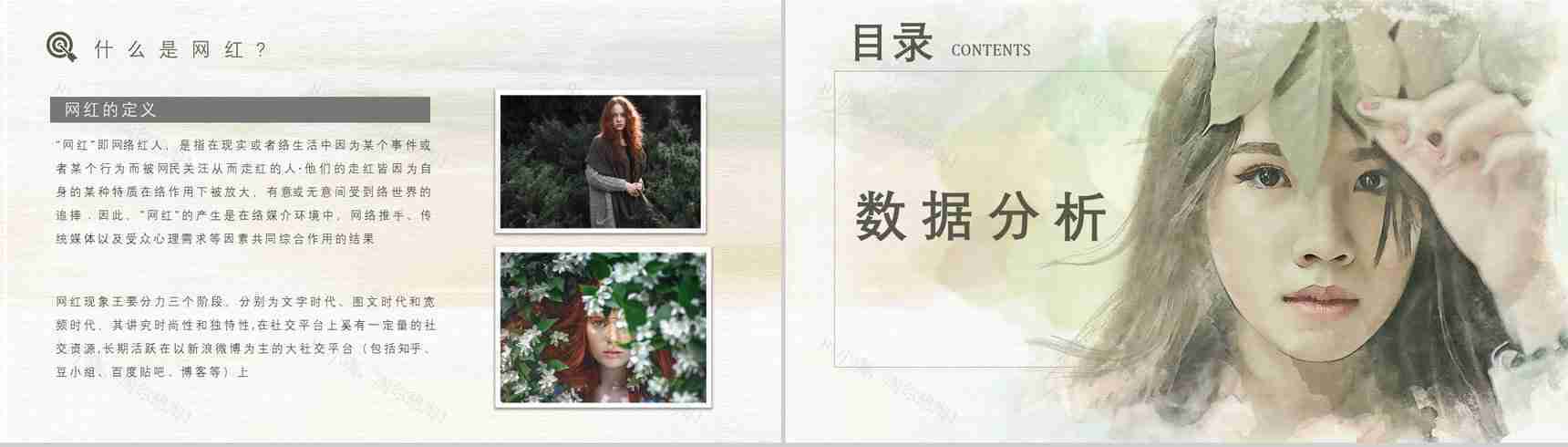 网红经济现象的运营模式利弊优势与劣势PPT模板-3