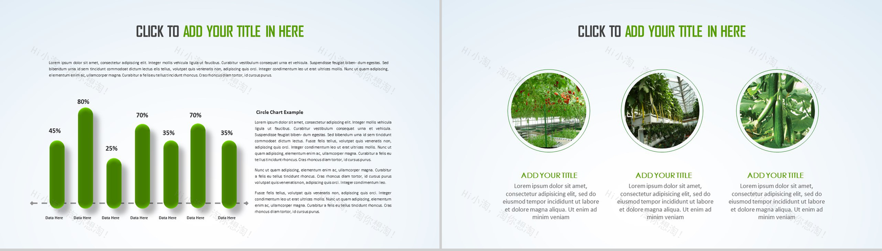 简约绿色清新有机农业环保健康生态旅游PPT模板-12