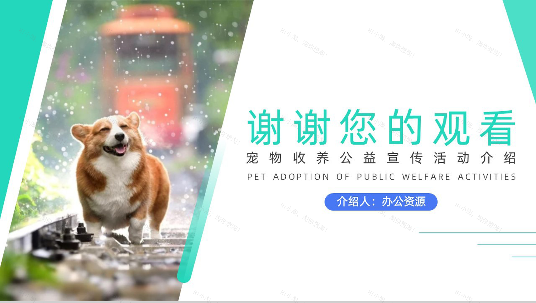 宠物收养公益活动策划方案步骤PPT模板-10