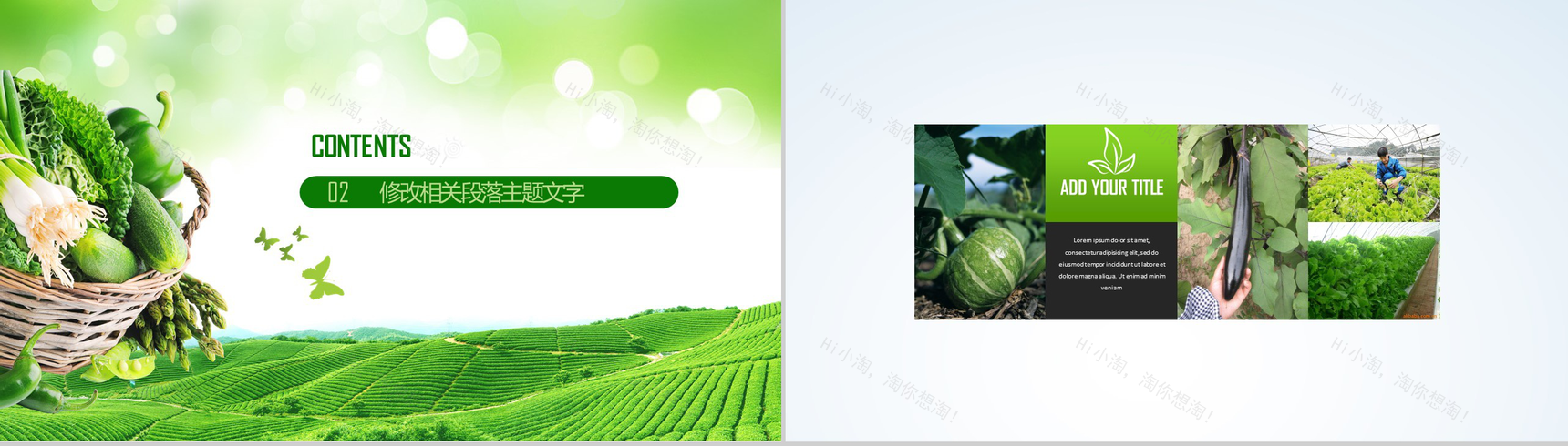 简约绿色清新有机农业环保健康生态旅游PPT模板-7