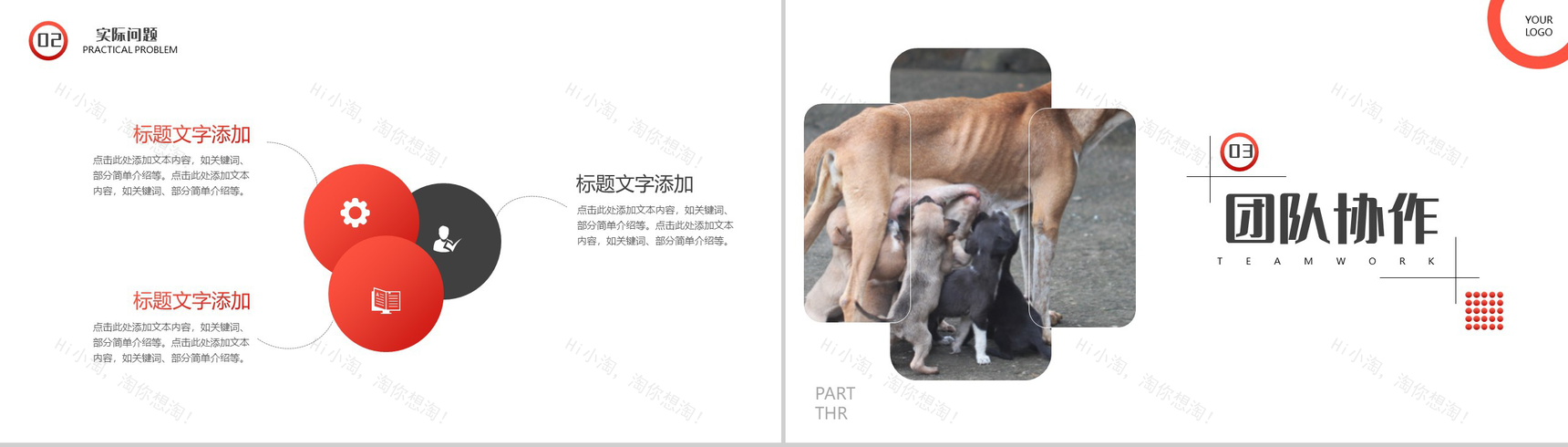 橙色爱心活动救助流浪动物公益活动策划方案步骤PPT模板-6