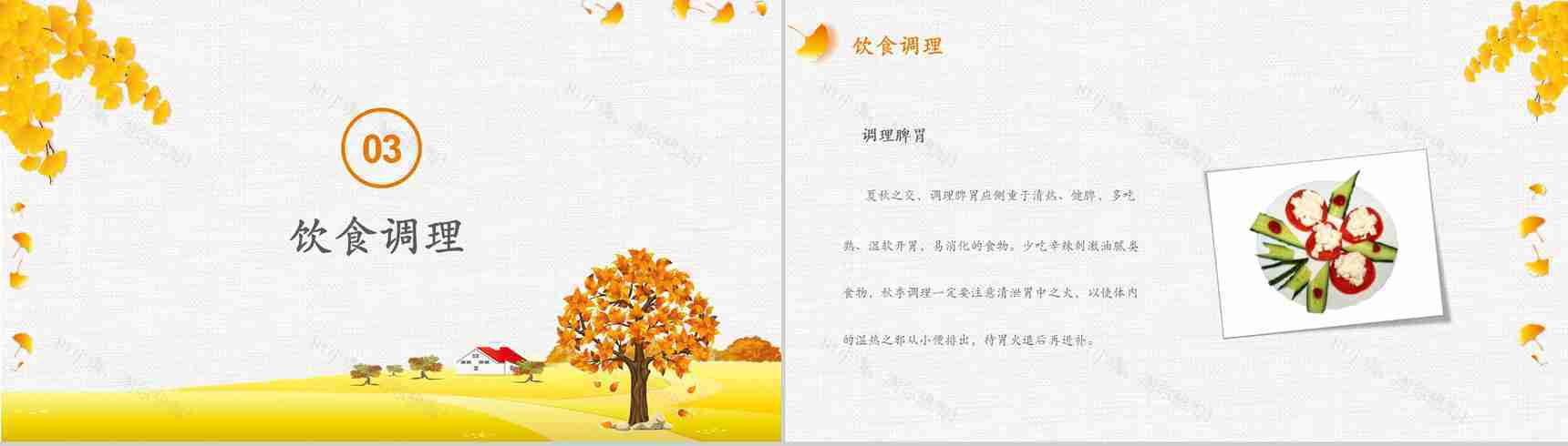 主题健康养生的PPT模板-8