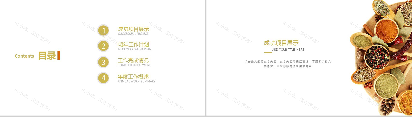 简洁简约食品调味剂宣传策划汇报新年计划PPT模板-2
