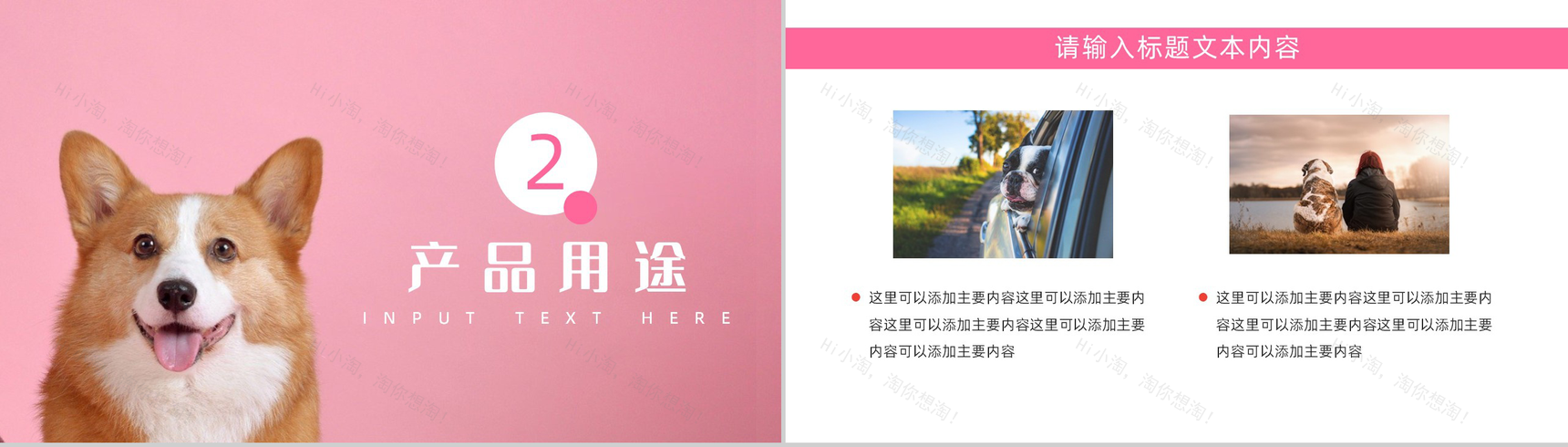 创意萌宠主题系列优势产品项目介绍PPT模板-4