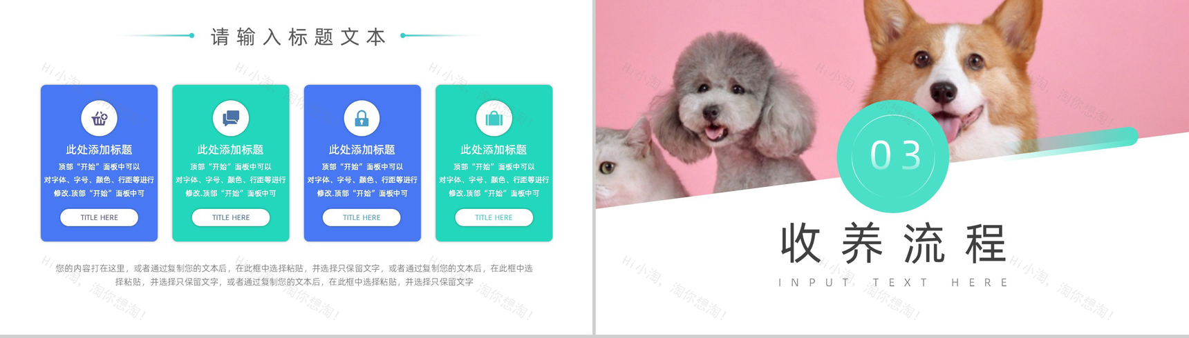 宠物收养公益活动策划方案步骤PPT模板-5
