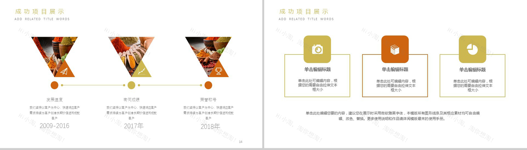 简洁简约食品调味剂宣传策划汇报新年计划PPT模板-8