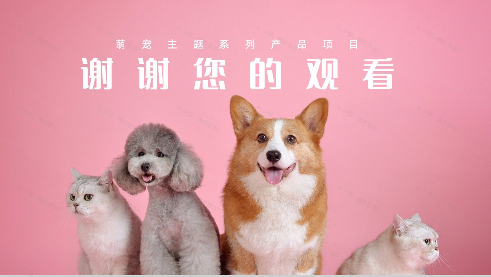 创意萌宠主题系列优势产品项目介绍PPT模板-10