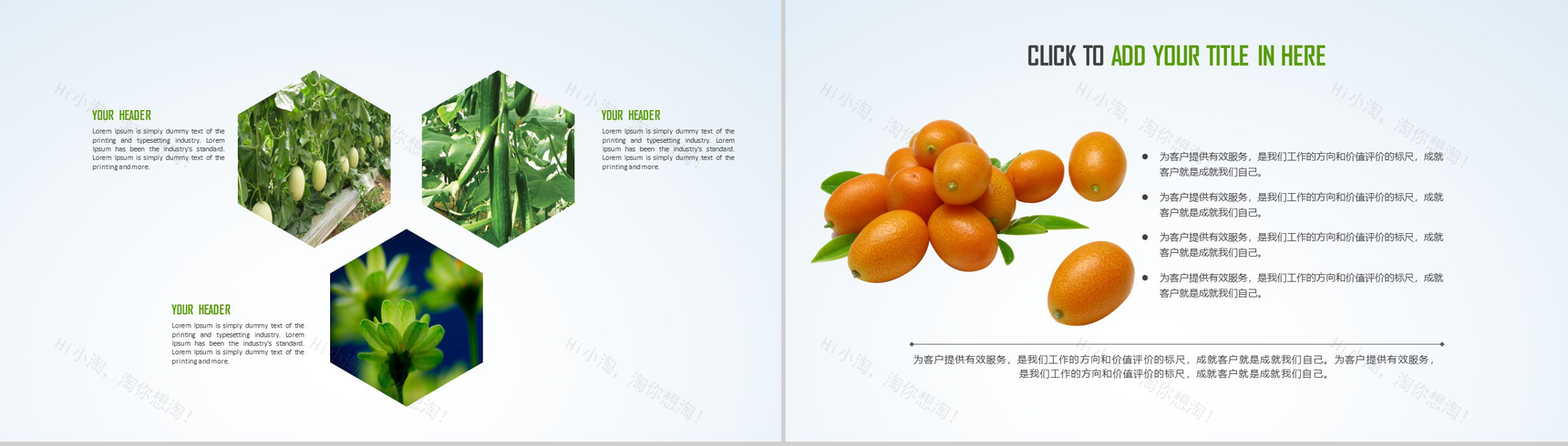 简约绿色清新有机农业环保健康生态旅游PPT模板-18