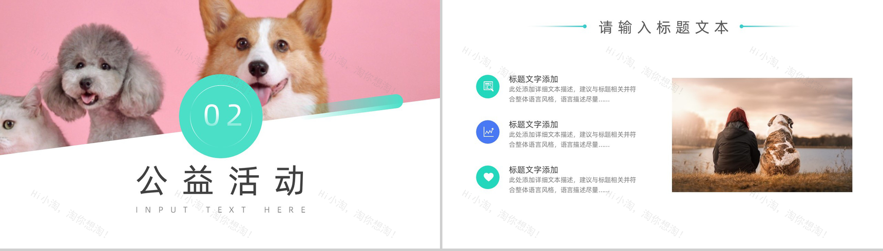 宠物收养公益活动策划方案步骤PPT模板-4
