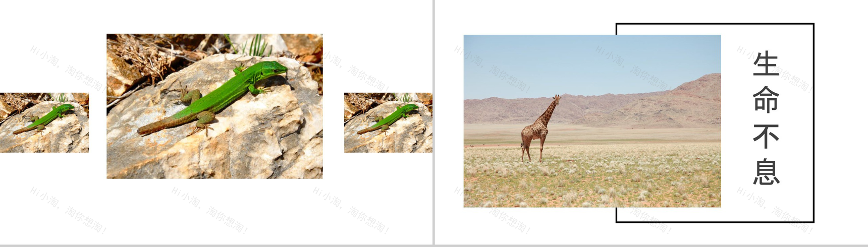 敬畏自然沙漠之旅活动总结汇报PPT模板-12