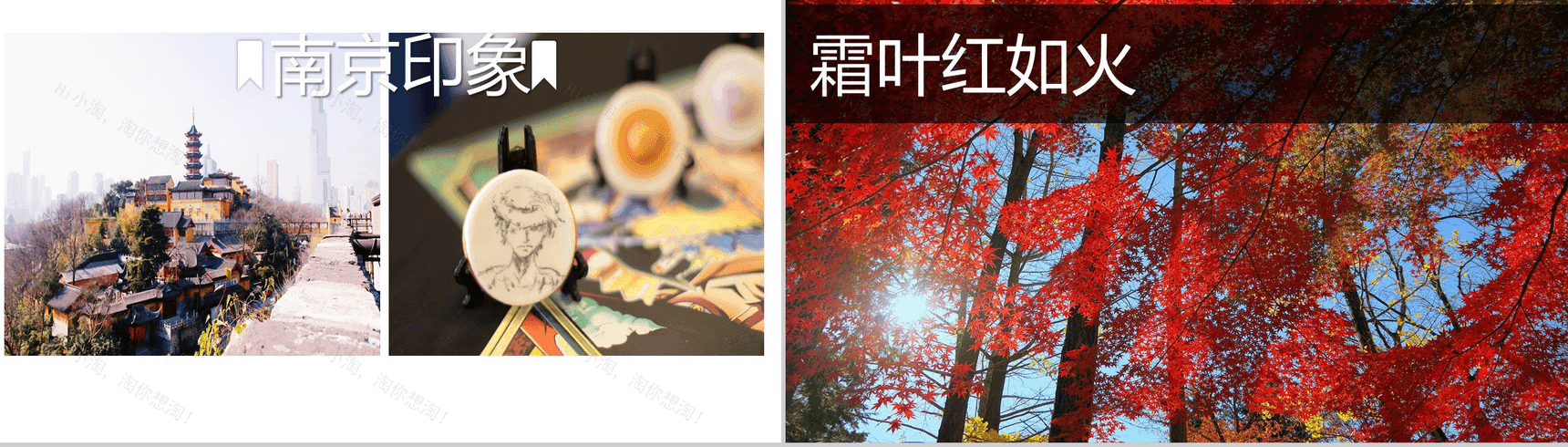 精品高端商务南京旅游文化介绍PPT模板-5