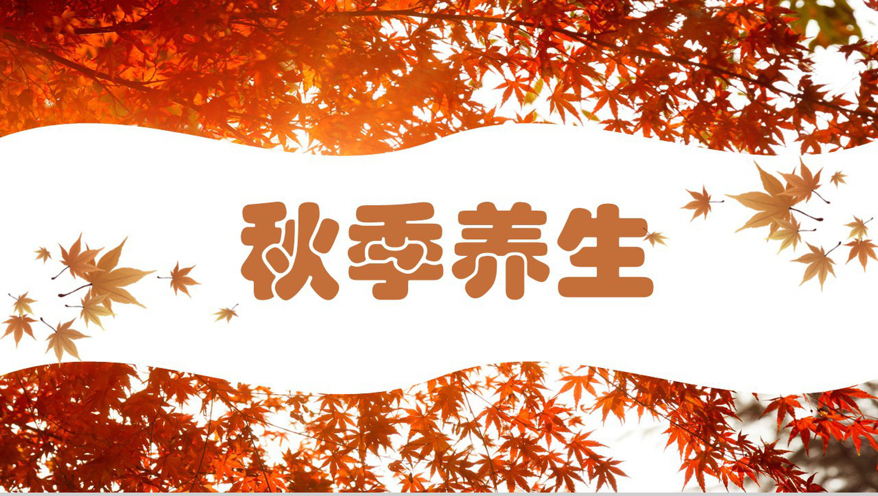 秋季养生主题方法的PPT模板