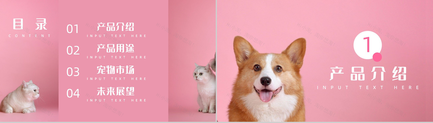 创意萌宠主题系列优势产品项目介绍PPT模板-2