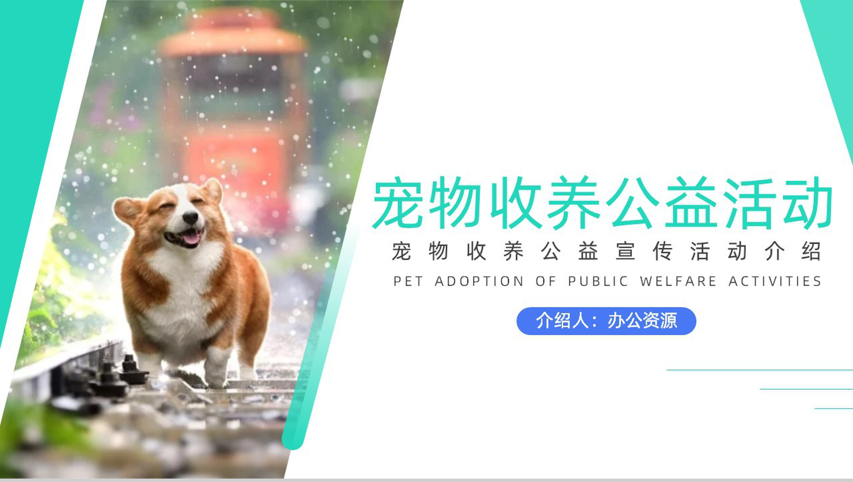 宠物收养公益活动策划方案步骤PPT模板