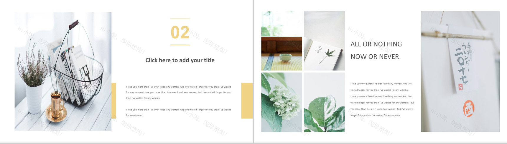 清新淡雅简约英语演讲汇报工作总结PPT模板-5