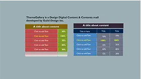 精美实用表格PPT图表模板