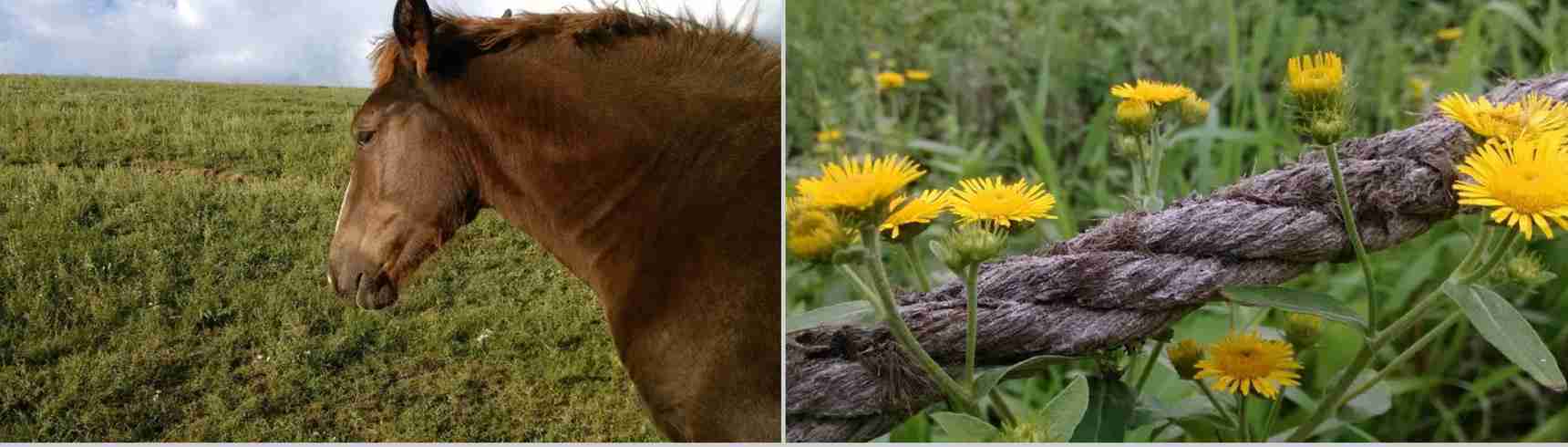 小米2029新品发布会宣传PPT模板-33