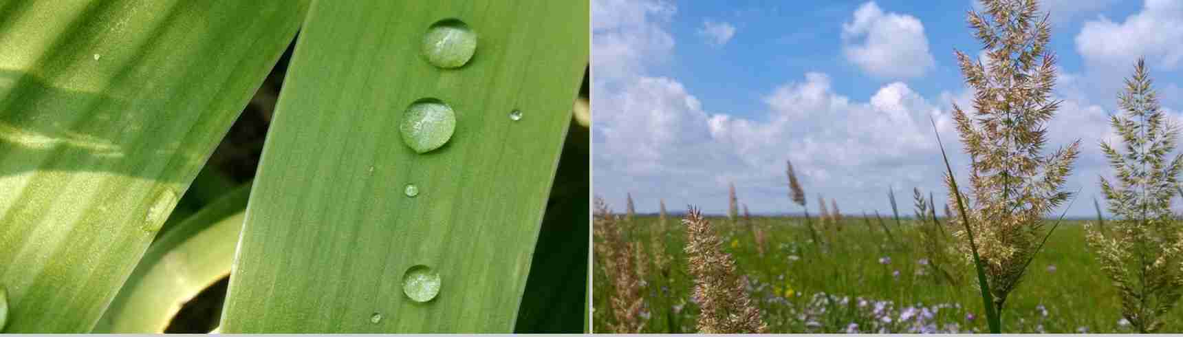 小米2029新品发布会宣传PPT模板-31