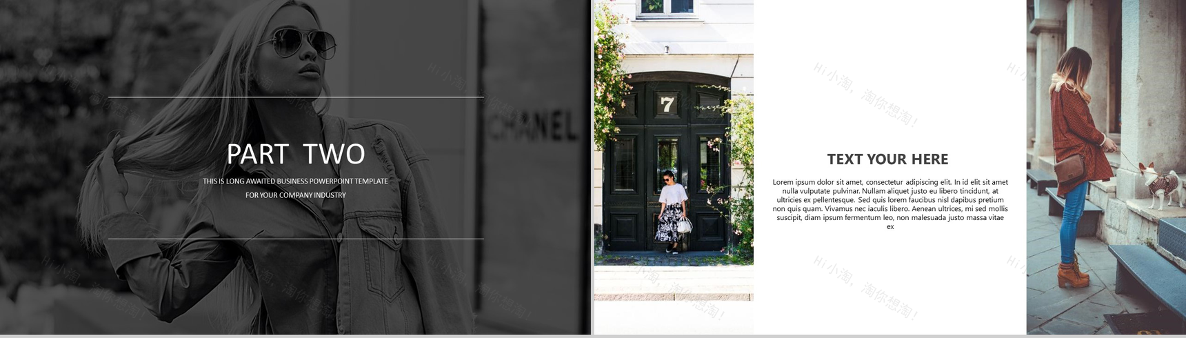 欧美大气时尚发布会产品发布PPT模板-5