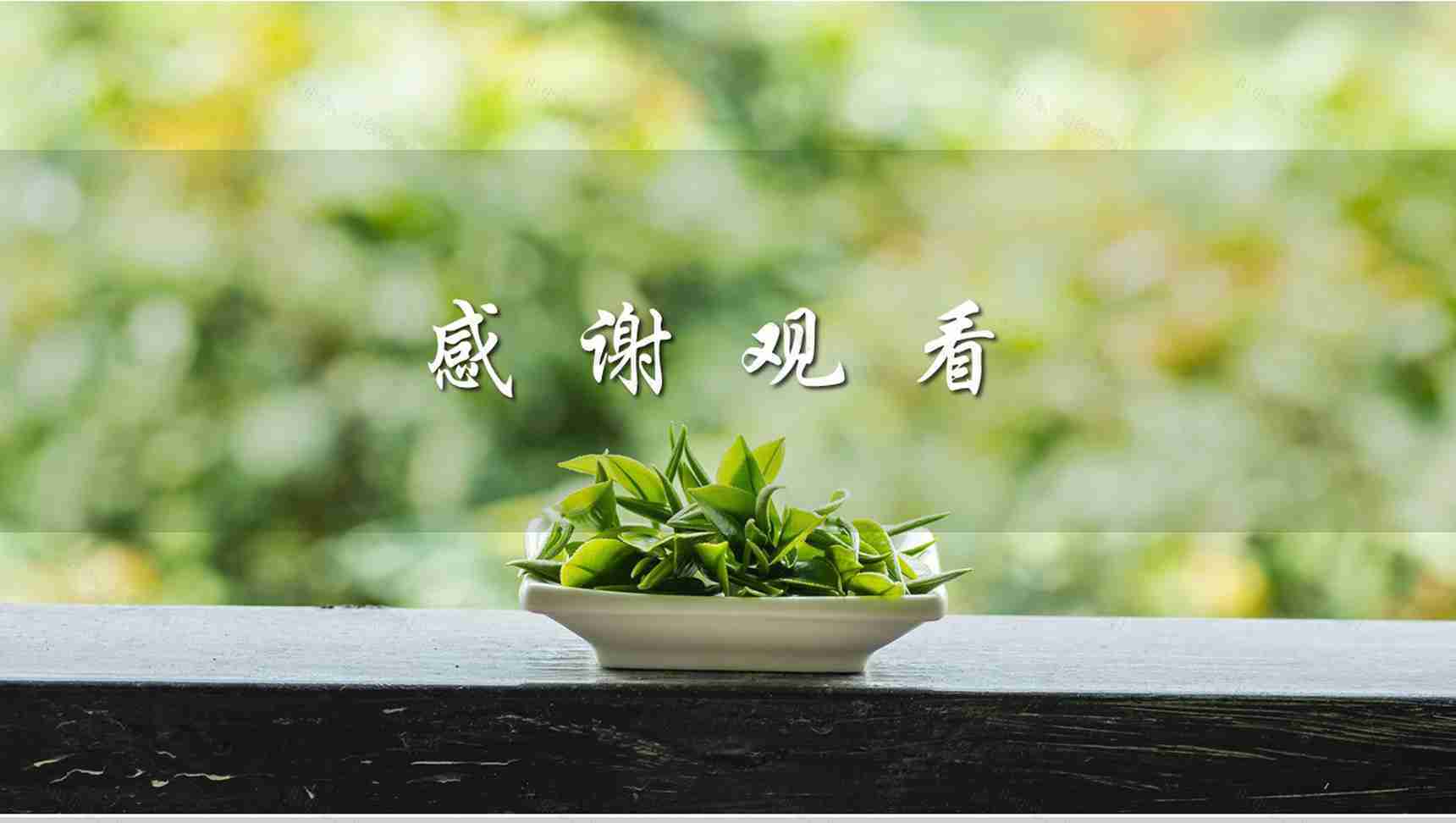 茶文化推广宣传PPT模板-12