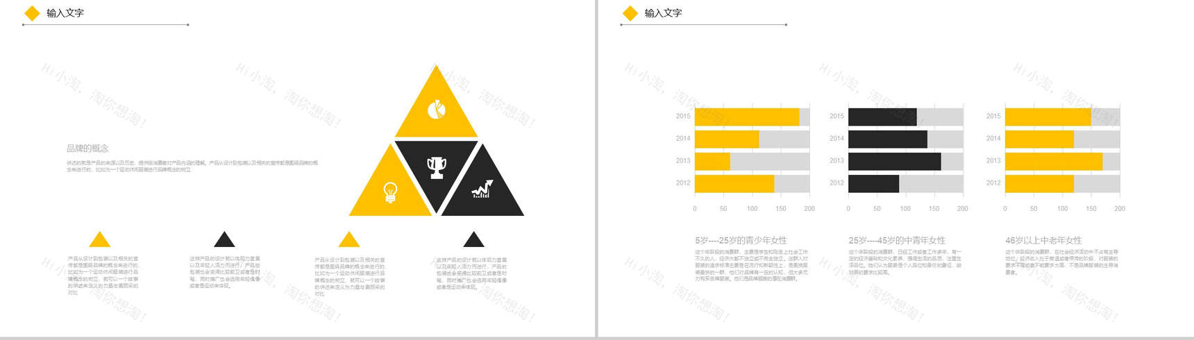 大气欧美风时尚服装宣传汇报总结PPT模板-3