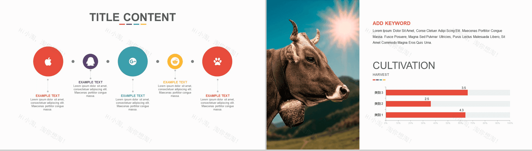 大气可视化精品高端商务PPT模板-5