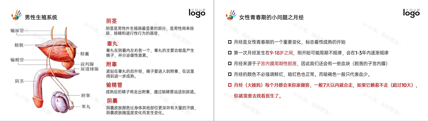 红色简约风防治艾滋病世界艾滋病日教育班会PPT模板-6