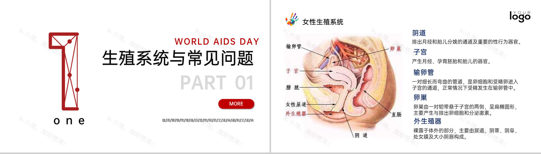 红色简约风防治艾滋病世界艾滋病日教育班会PPT模板-5