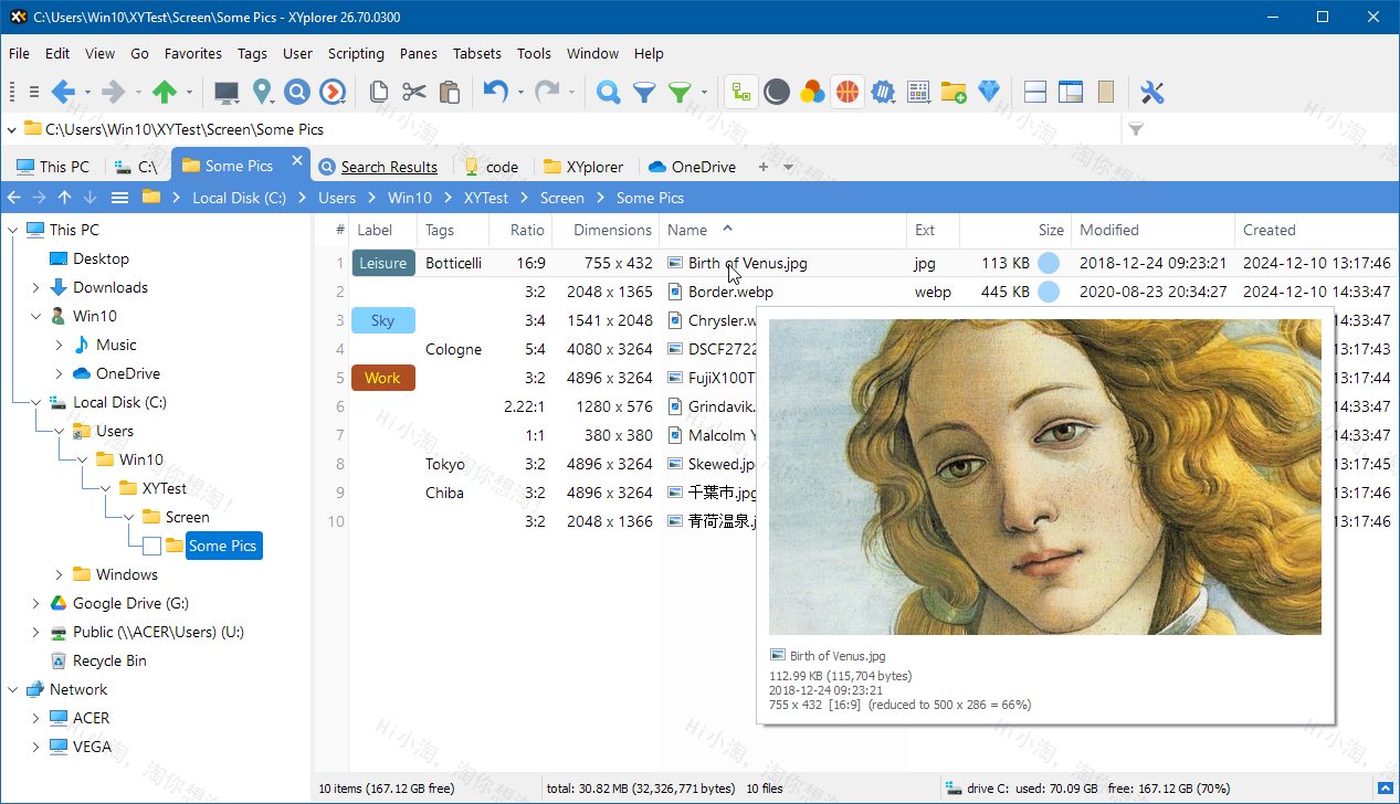 XYplorer 27.10.0700 多标签文件管理器Win版