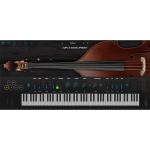 Ample Sound Ample Bass Upright v4.0.1 音乐插件Win版