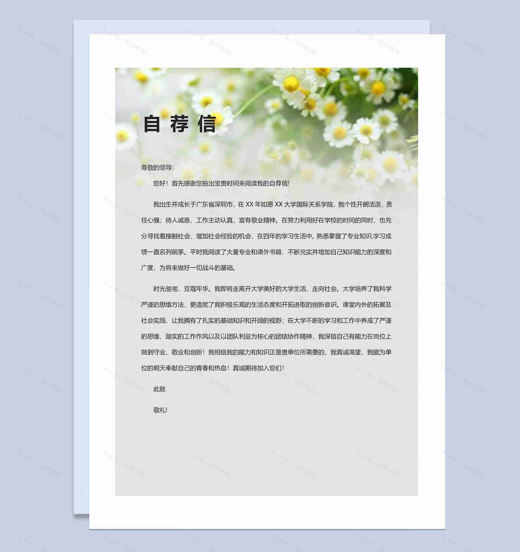 小清新简历封面财务总监个人简历自荐信Word模板-3