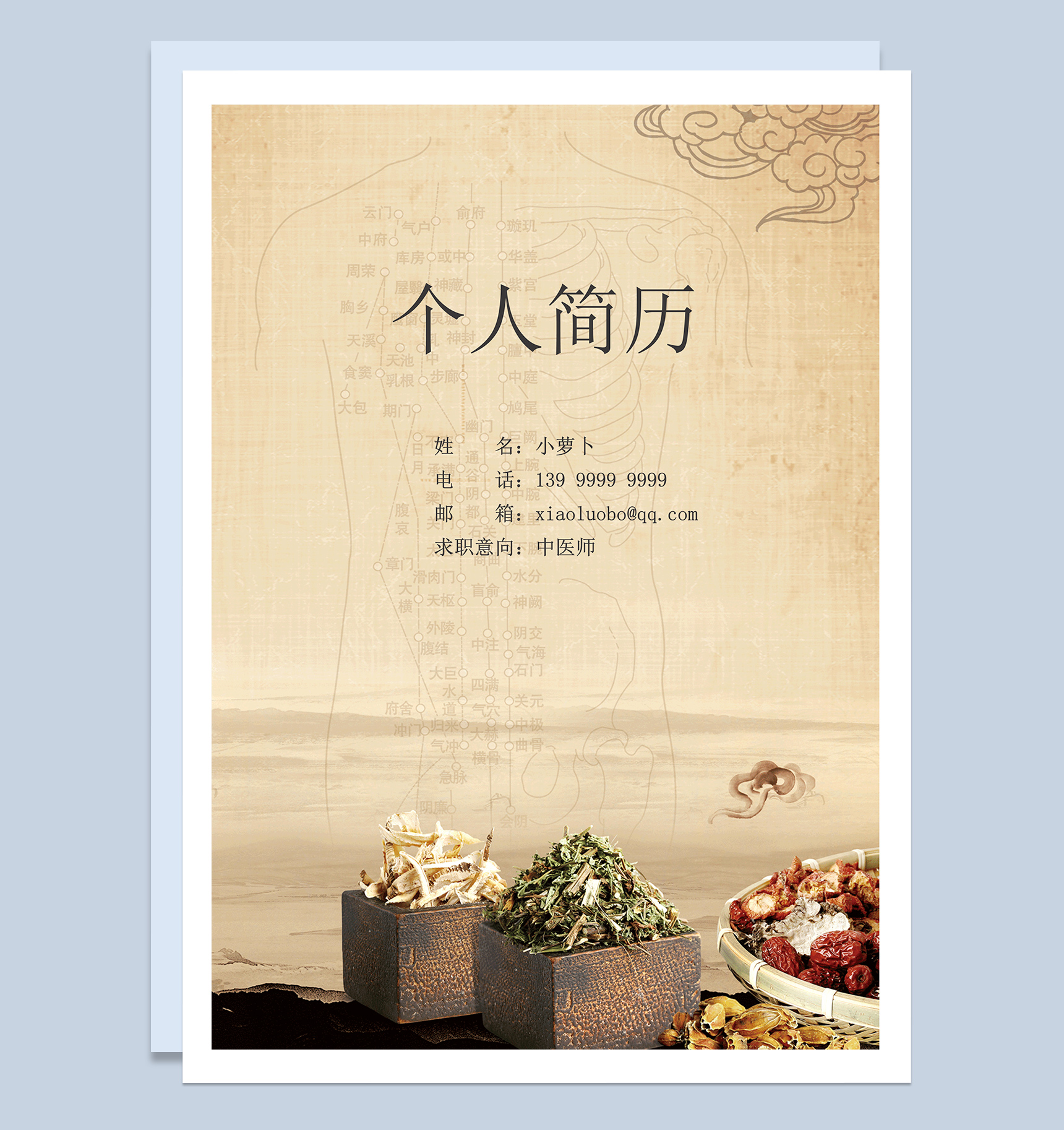 中医师面试求职简历Word模板