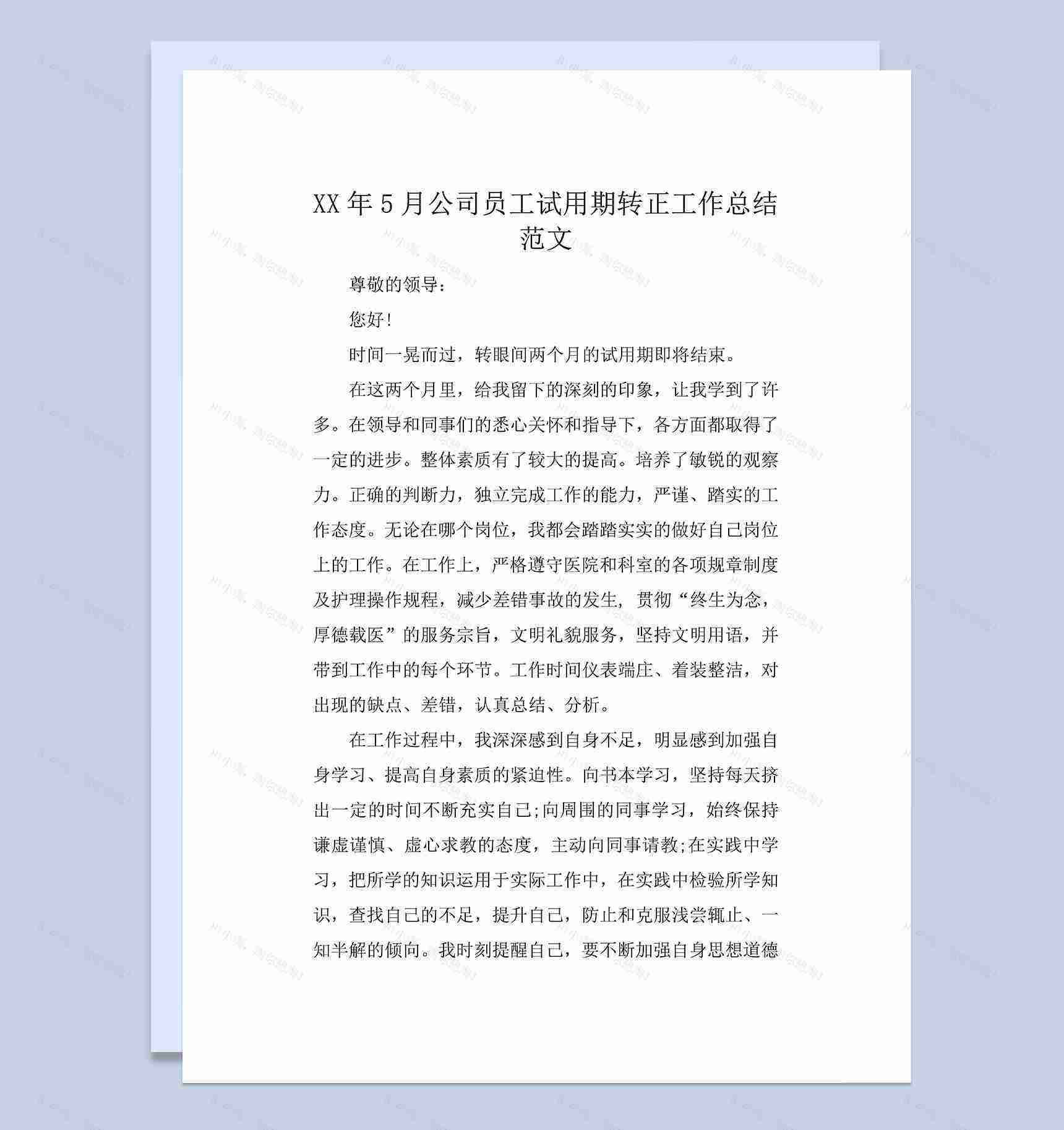 公司员工个人年终试用期转正工作总结Word模板-1