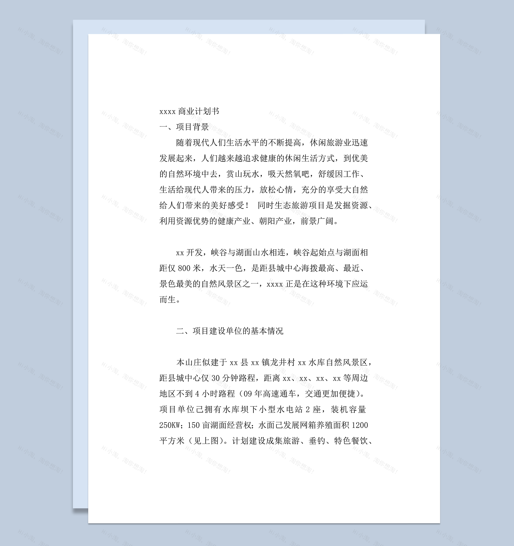 岳西龙井山庄商业计划书word模板-1